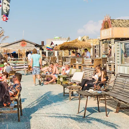 The Modern Burrow Feriehus