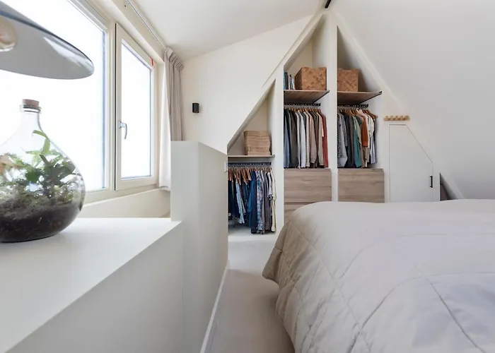 The Modern Burrow 잔드보르트