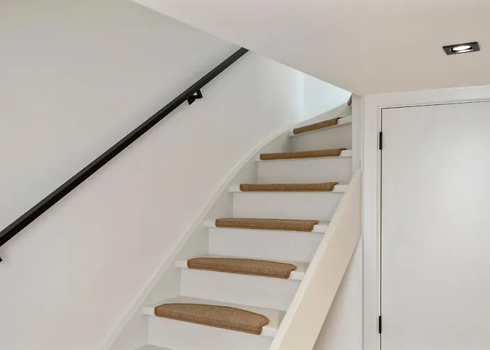 The Modern Burrow 赞德沃特