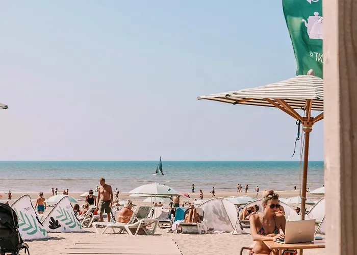 度假居 The Modern Burrow